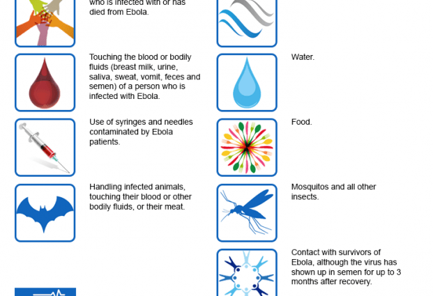 Ebola hemorrhagic fever &#8211; symptoms, treatment, prevention