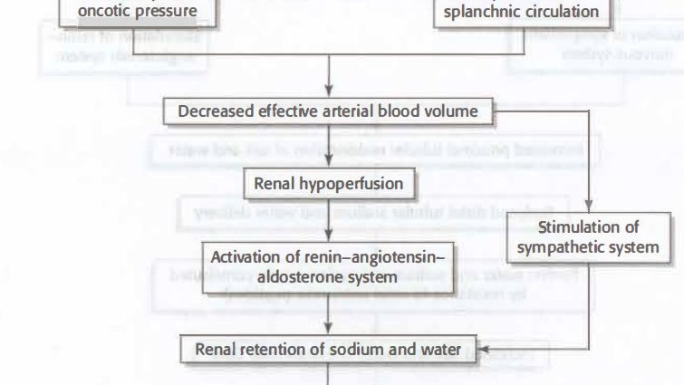 Edema in liver diseases