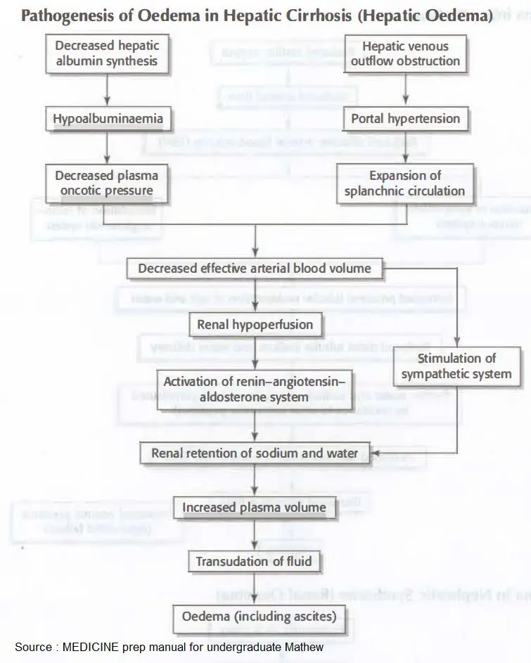 Edema in liver diseases