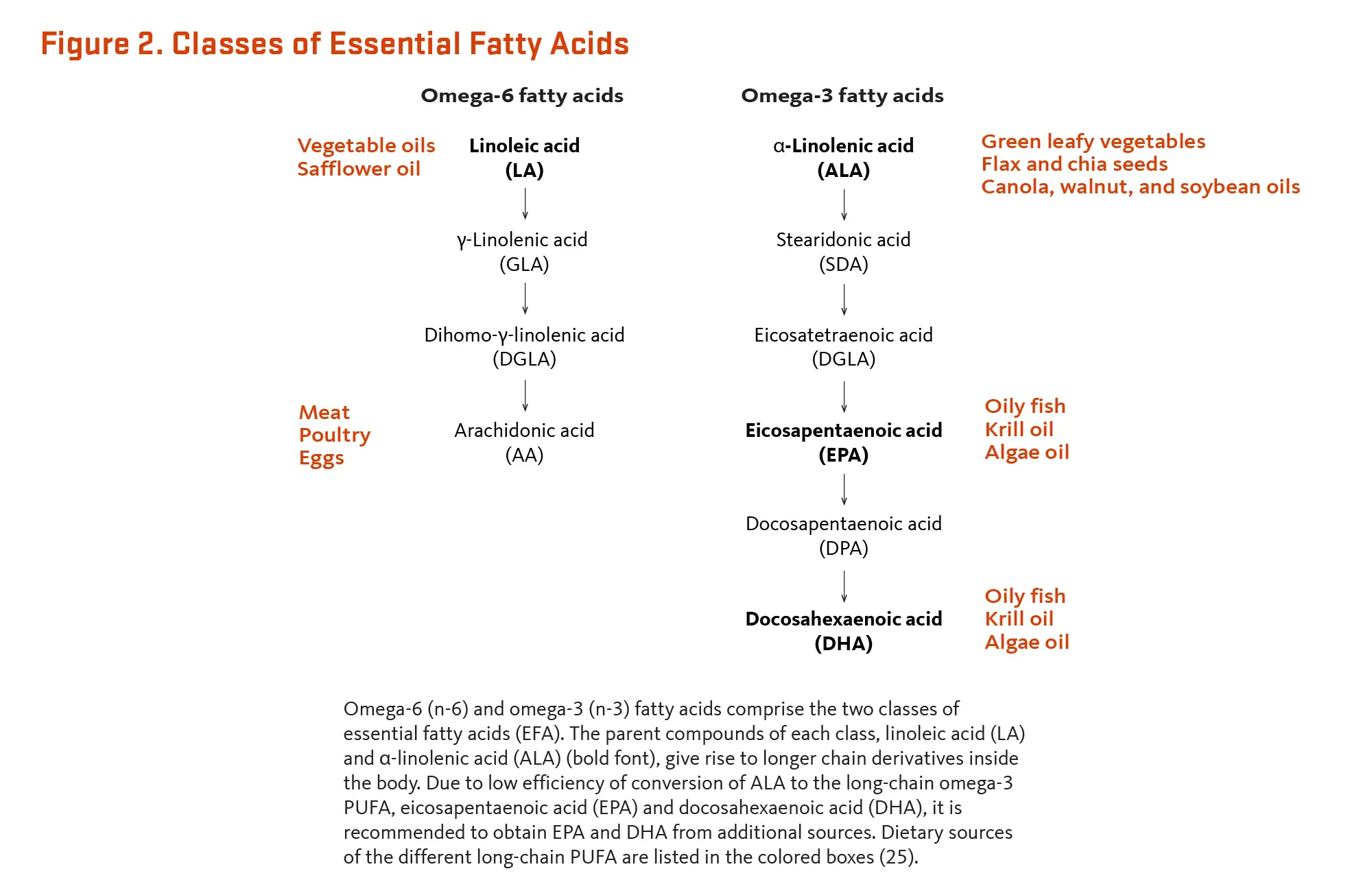 EFAs &#8211; types, functions, sources in the diet. What is the function of essential fatty acids? WE EXPLAIN