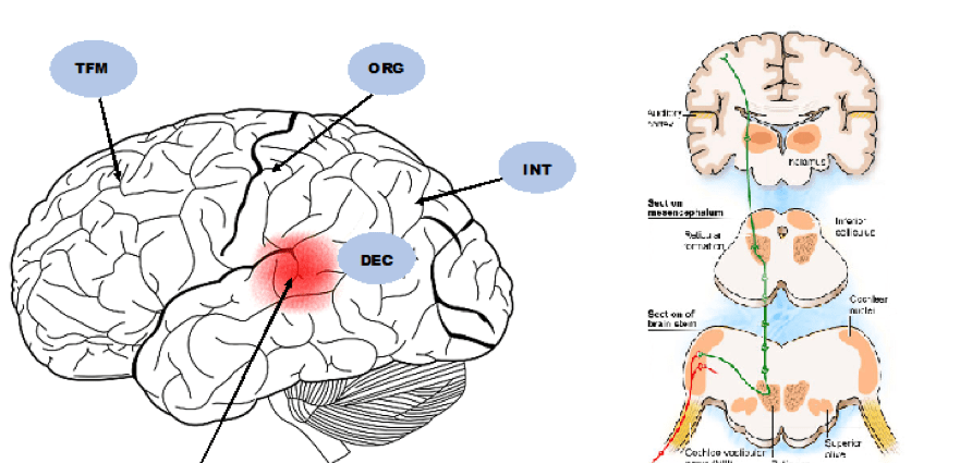 Effective therapy for children with APD &#8211; difficult, but possible