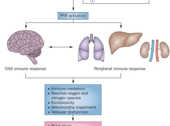 Effects of perinatal injuries as a cause of child development disorders