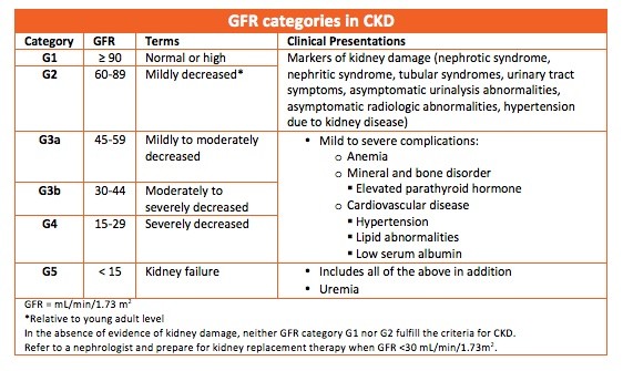 eGFR – indications, course of the test, when to perform? EGFR standards 