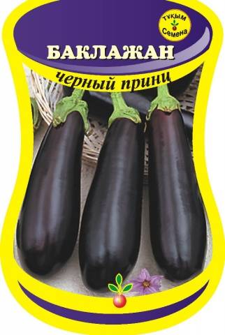 Eggplant Black Prince