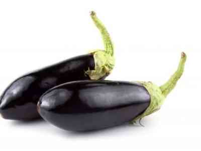 Eggplant Black Prince