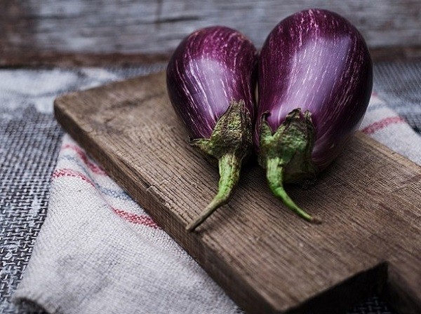 Eggplant diseases and pests: methods of control and treatment