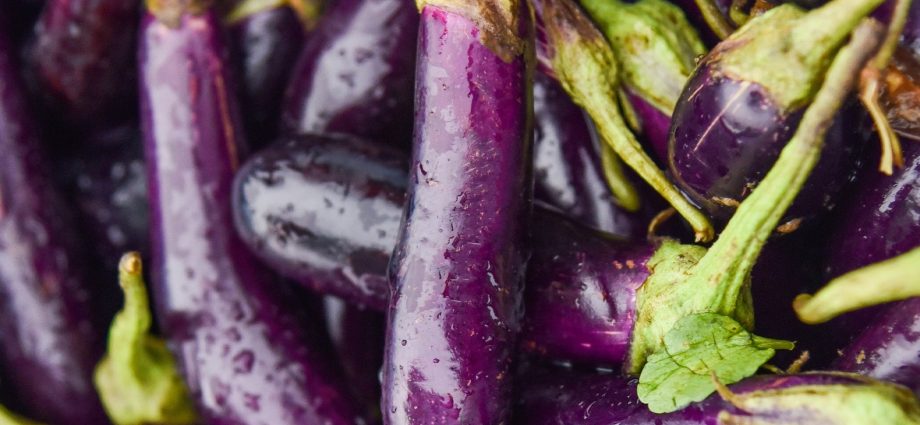 Eggplant Gardener&#8217;s Dream