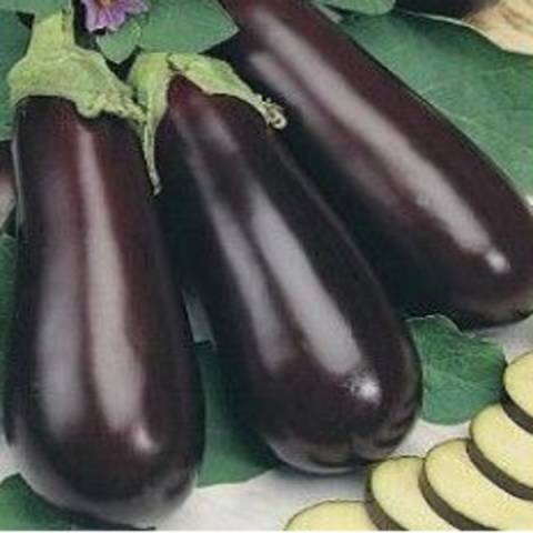 Eggplant Giselle: variety description, photo