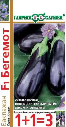 Eggplant Hippo F1