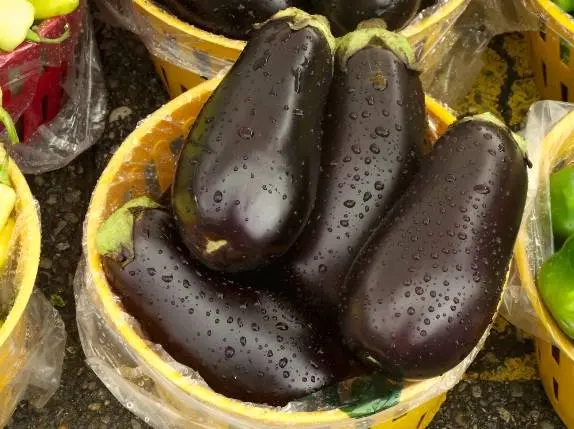 Eggplant in adjika: recipe 