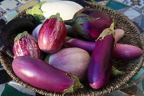 Eggplant &#8220;like mushrooms&#8221; for the winter