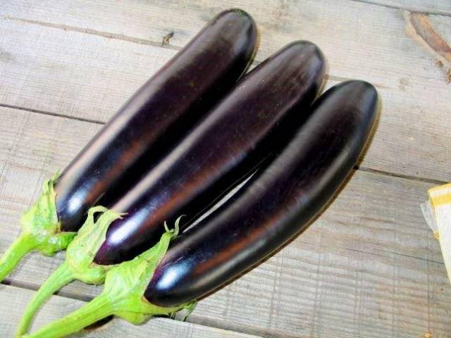 Eggplant Long Purple