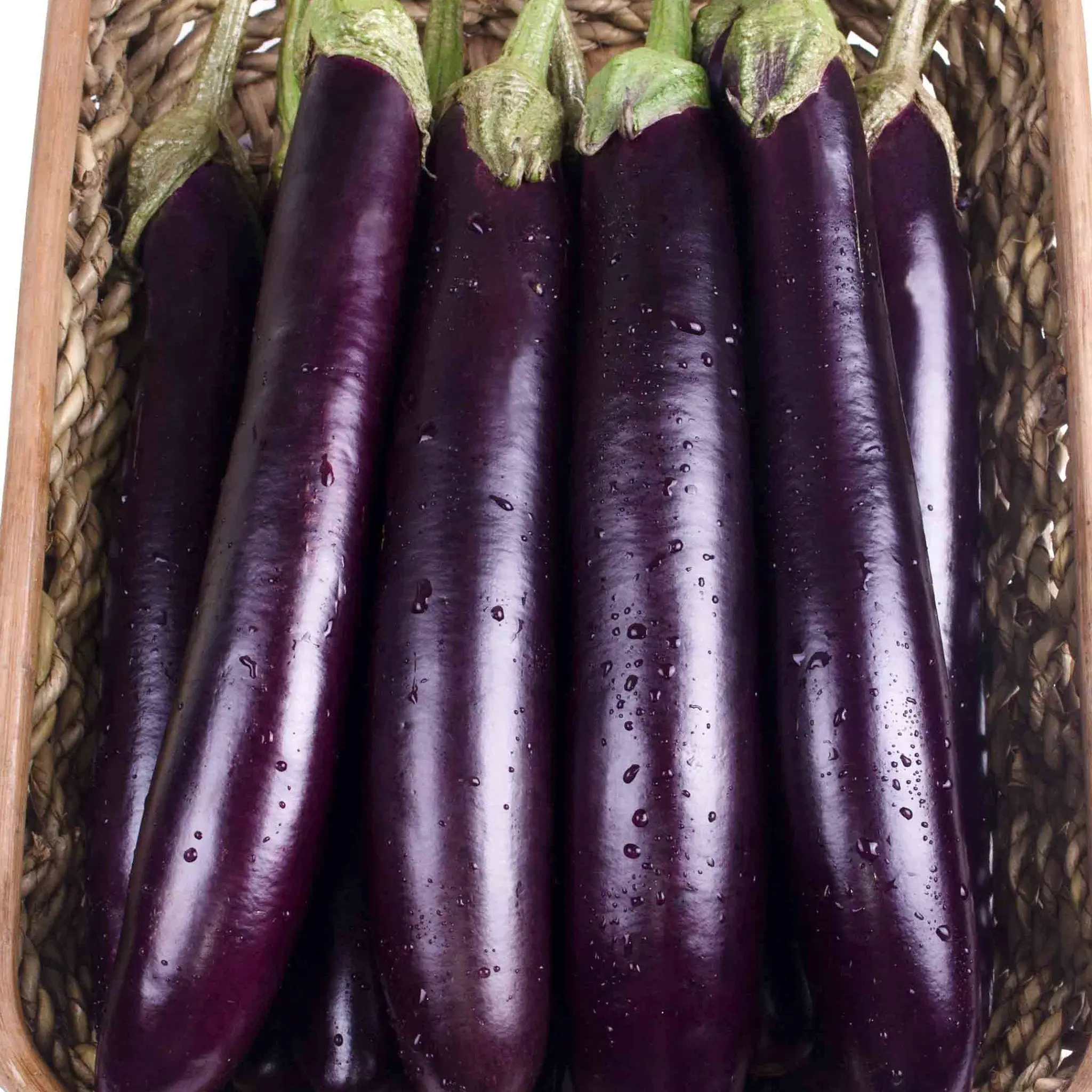 Eggplant &#8220;Long Purple&#8221;