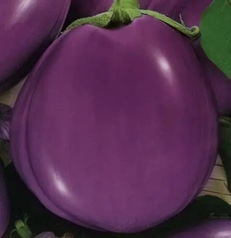 Eggplant Piglet