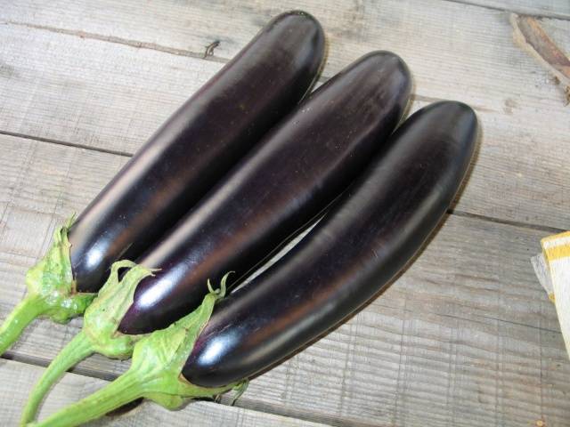 Eggplant Samurai Sword