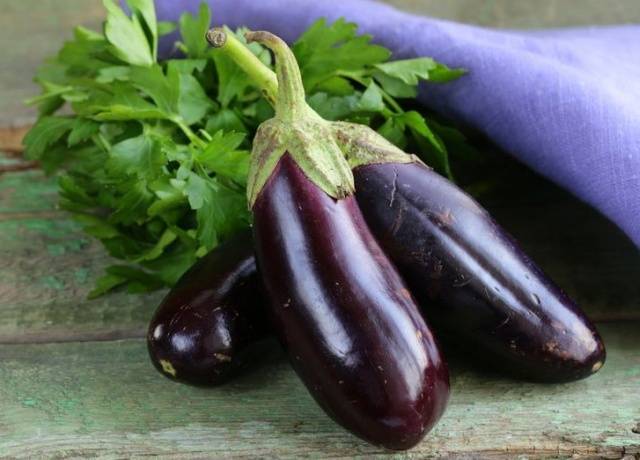 Eggplant seedlings not growing