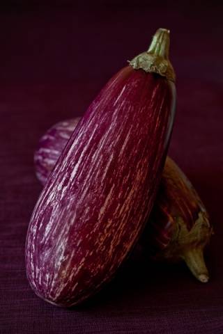 Eggplant Striped Flight