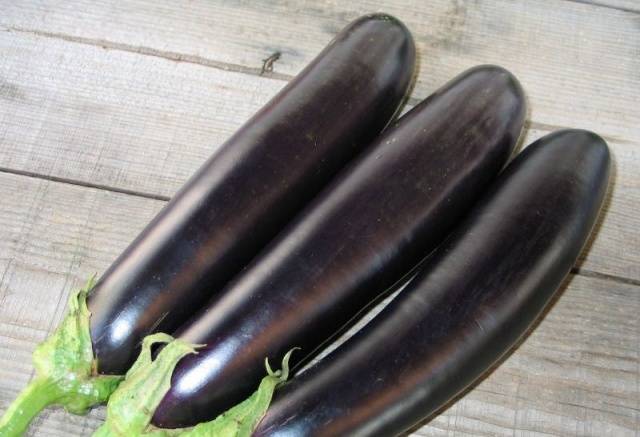 Eggplant Valentina F1