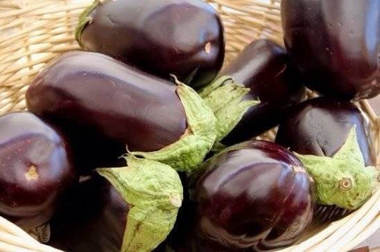 Eggplant varieties - features, characteristics