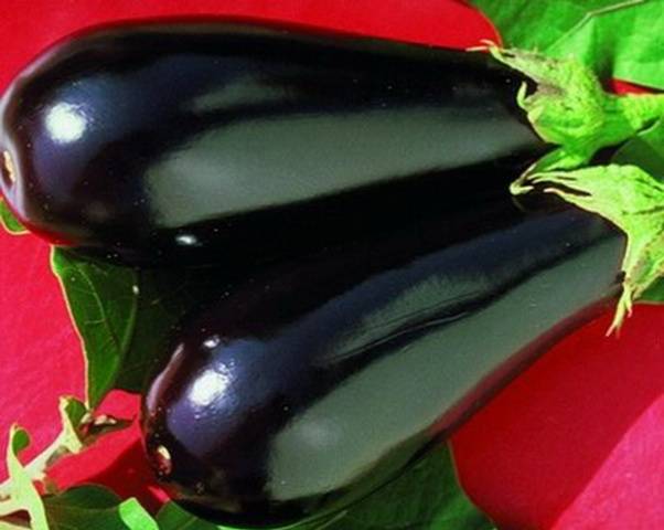 Eggplant varieties - features, characteristics