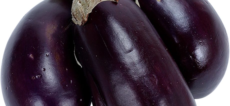 Eggplant varieties &#8211; features, characteristics