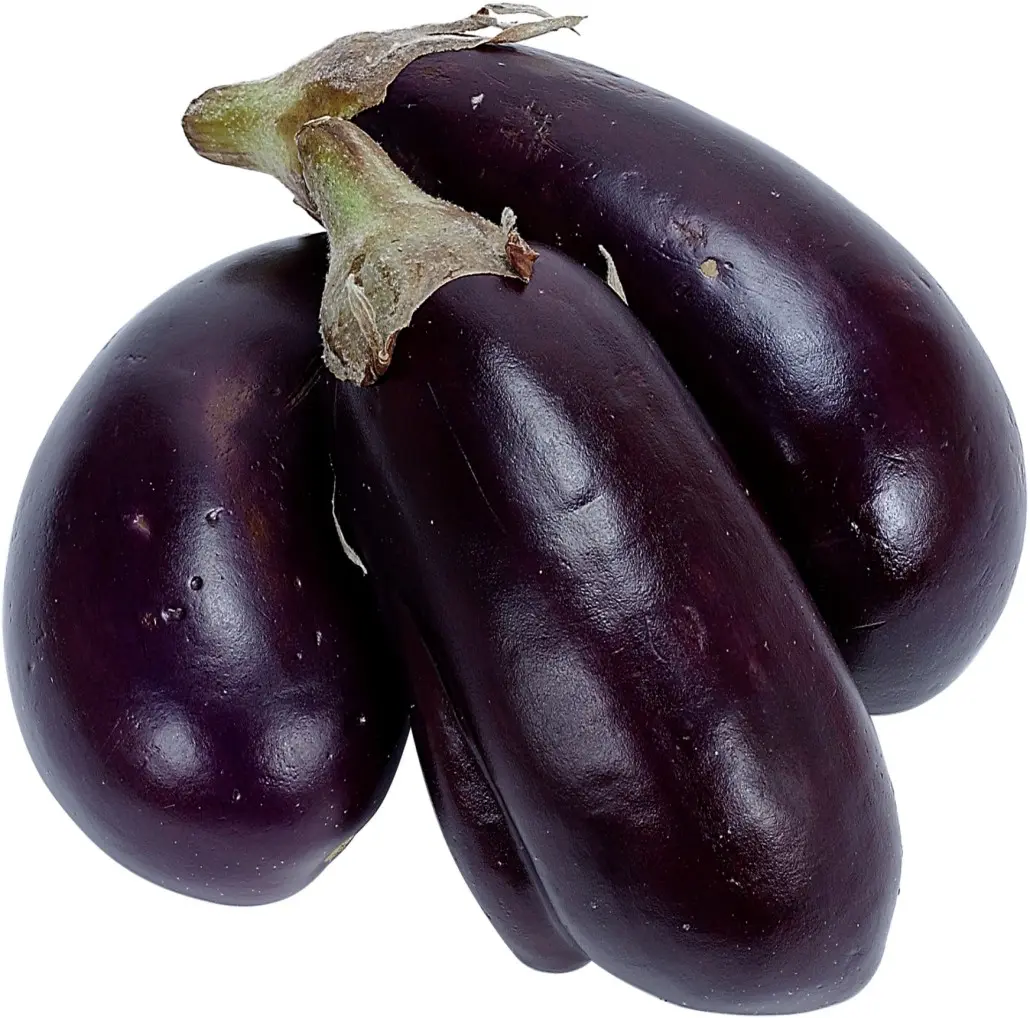 Eggplant varieties &#8211; features, characteristics