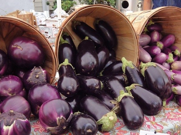 Eggplant Varieties: Overview of Shapes, Colors, Best Species