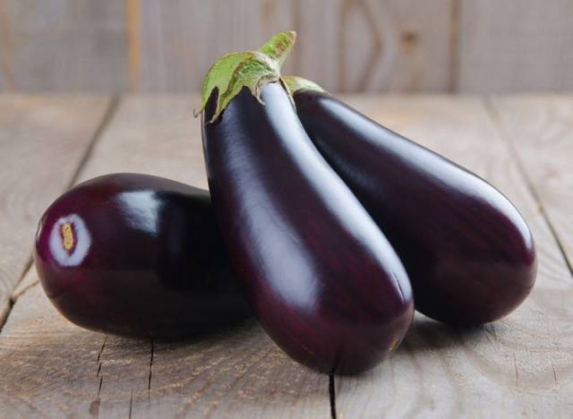 Eggplant variety without seeds inside