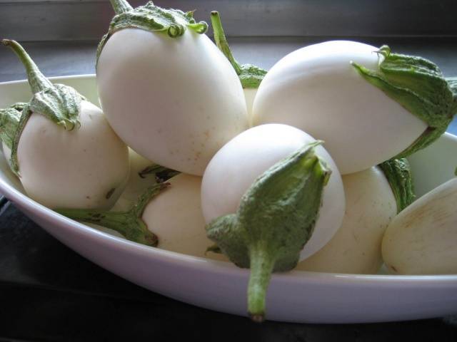 Eggplant variety without seeds inside