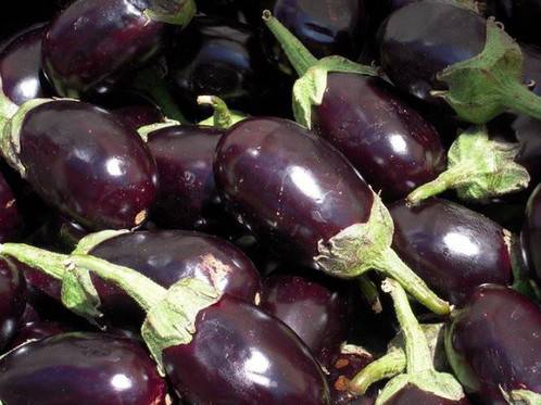 Eggplants for the winter: freezing recipes