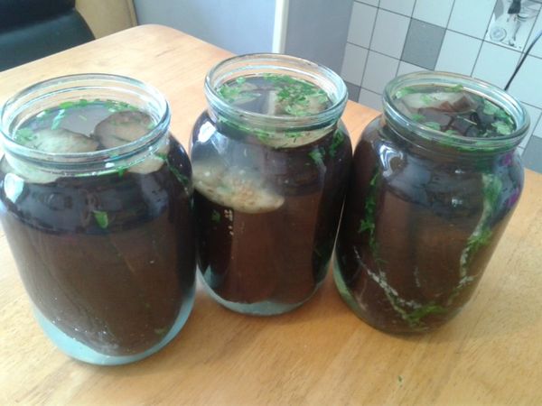 Eggplants for the winter: recipes for pickled, salted, pickled, fried snacks in jars