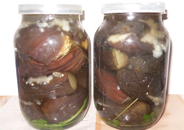 Eggplants for the winter: recipes for pickled, salted, pickled, fried snacks in jars