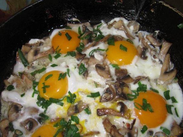 Eggs with mushrooms: fried and stuffed