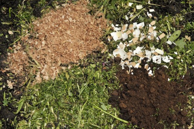 Eggshell: use for vegetable garden or garden, for indoor plants