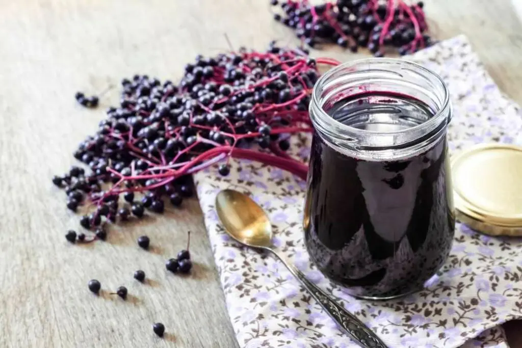 Elderberry juice &#8211; flowers, fruit, health properties, juice recipe