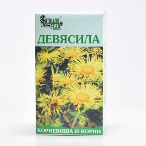 Elecampane root: medicinal properties and contraindications for women, for men, photo