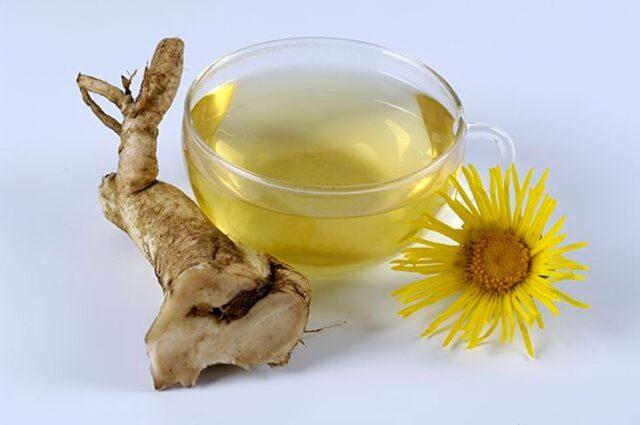 Elecampane root: medicinal properties and contraindications for women, for men, photo