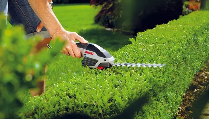 Electric brush cutter: what is needed and how to choose