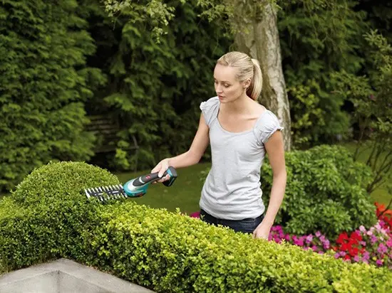 Electric brush cutter: what is needed and how to choose