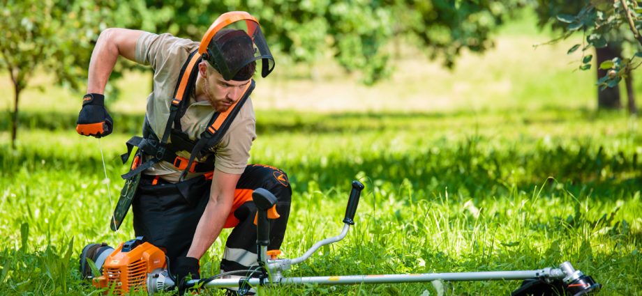 Electric brush cutter: what is needed and how to choose