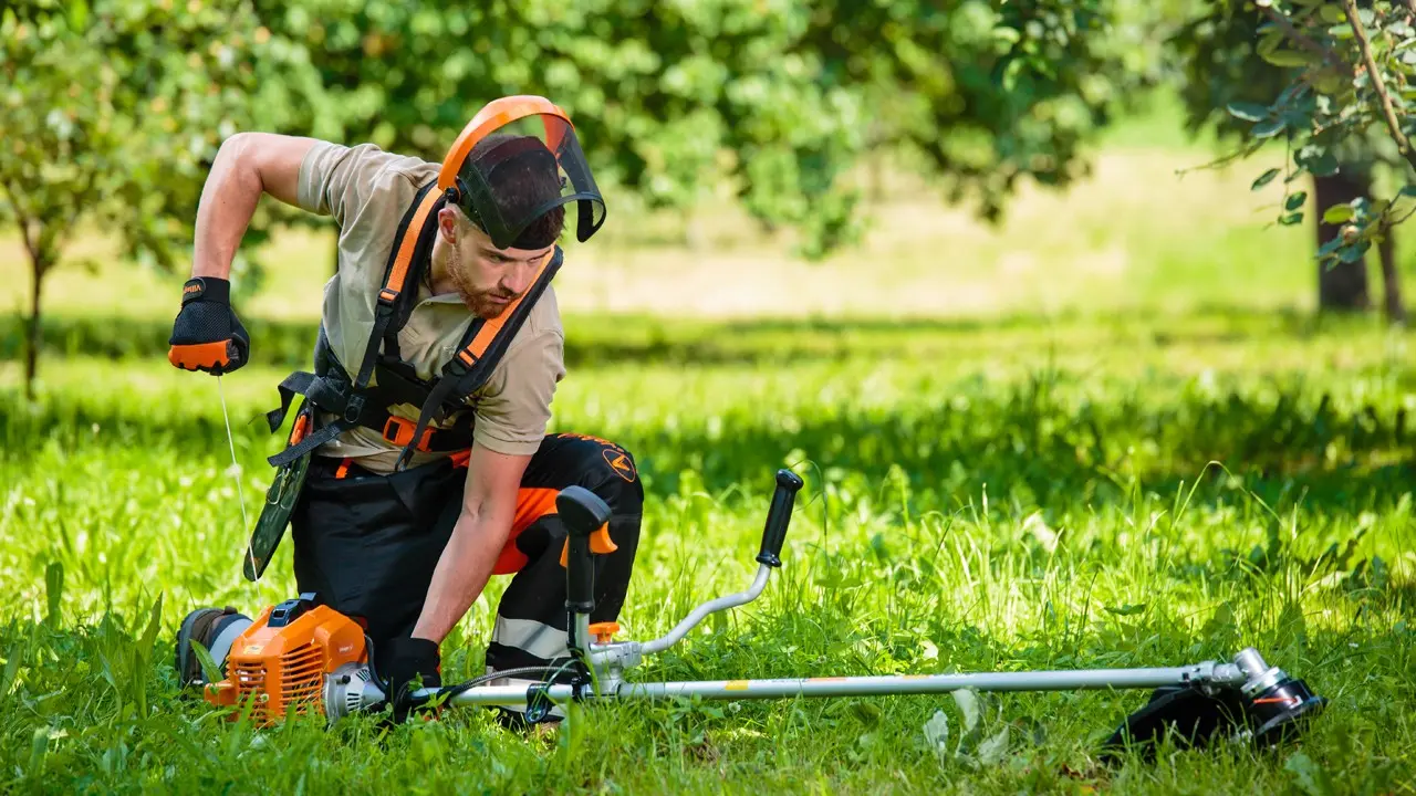 Electric brush cutter: what is needed and how to choose