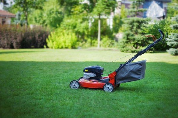 Electric lawn mower: rating of the best models