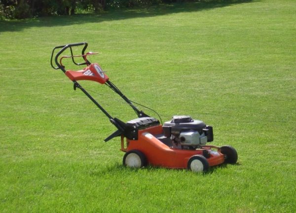 Electric lawn mower: rating of the best models