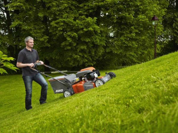 Electric lawn mower: rating of the best models