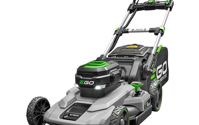 Electric lawn mower: rating of the best models