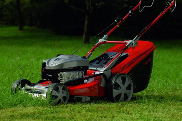 Electric lawn mower: rating of the best models