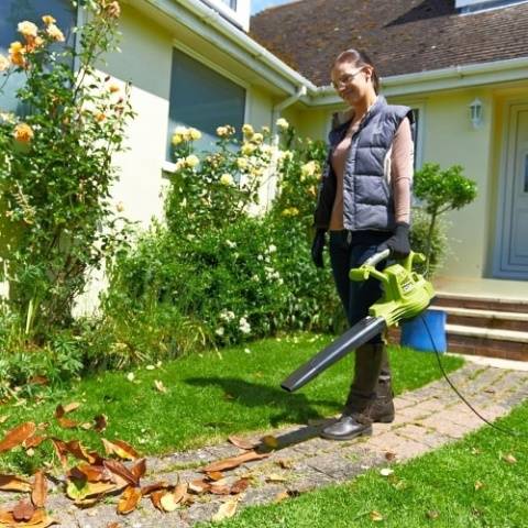 Electric leaf vacuum cleaners