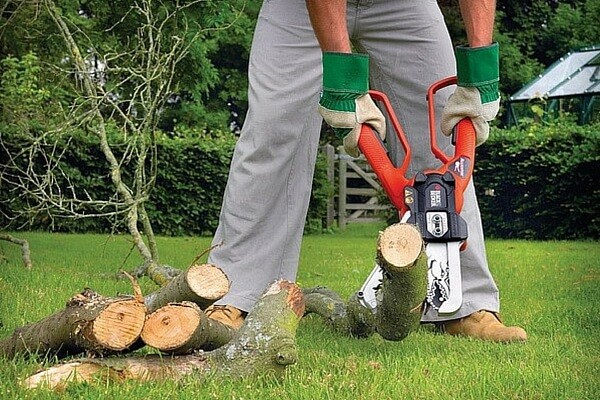 Electric pruner: the pros and cons of the tool