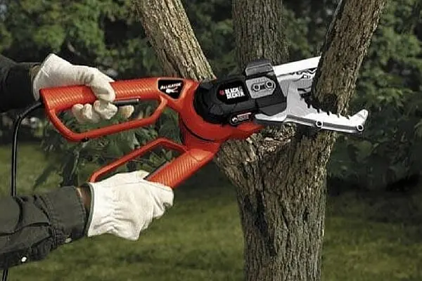 Electric pruner: the pros and cons of the tool