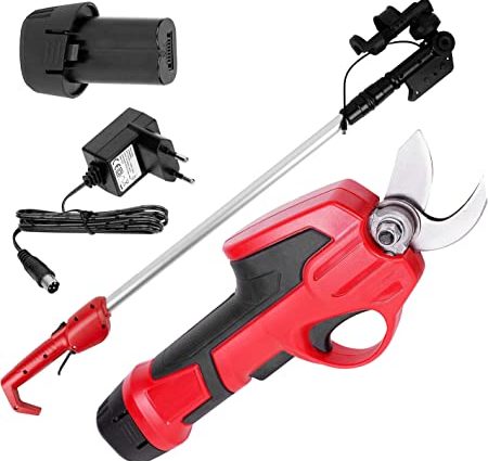 Electric pruner: the pros and cons of the tool